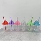 Double Wall Plastic Acrylic Insulated Tumbler With Lid And Straw